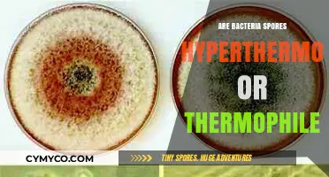 Exploring the Heat Tolerance of Bacterial Spores: Hyperthermophiles vs. Thermophiles