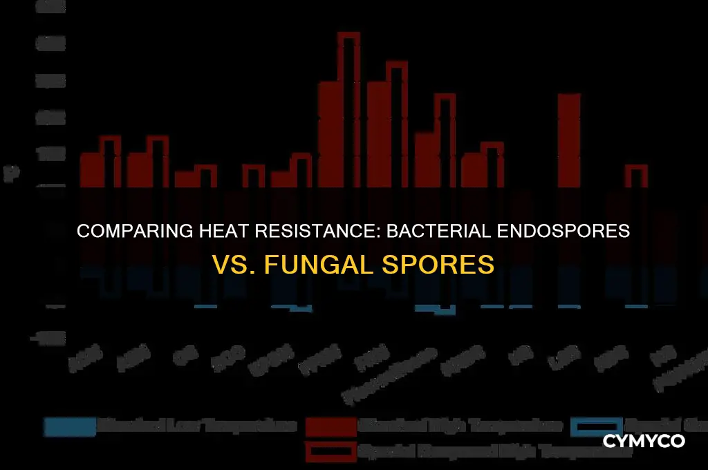 are bacterial endospores more heat resistant than fungal spores