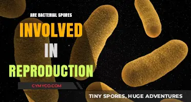 Unveiling the Role of Bacterial Spores in Reproduction: A Comprehensive Guide