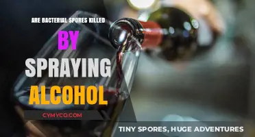 Alcohol's Efficacy Against Bacterial Spores: A Comprehensive Guide