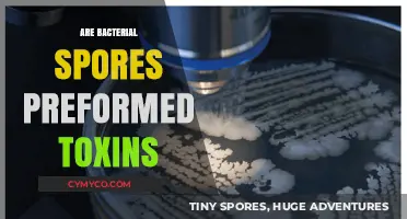 Unveiling the Truth: Bacterial Spores vs. Preformed Toxins
