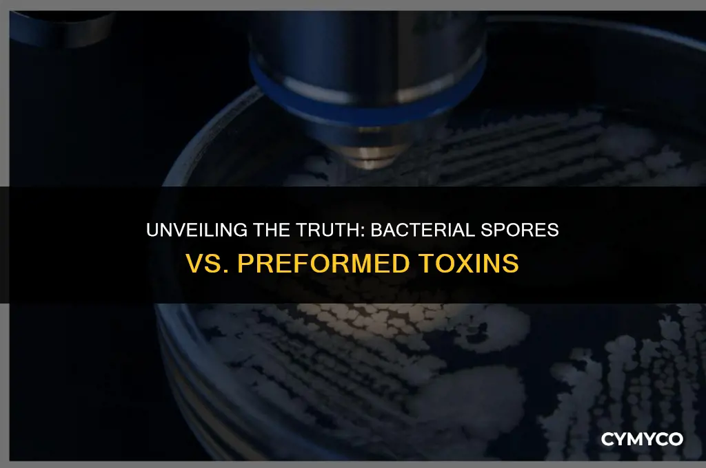 are bacterial spores preformed toxins