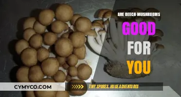 Exploring the Health Benefits of Beech Mushrooms: A Nutritional Guide