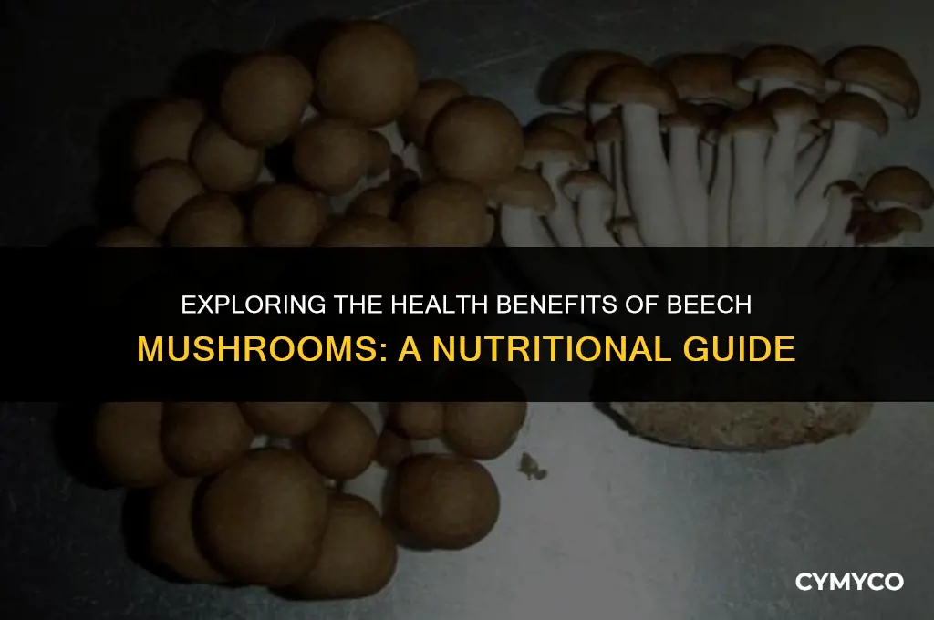 are beech mushrooms good for you