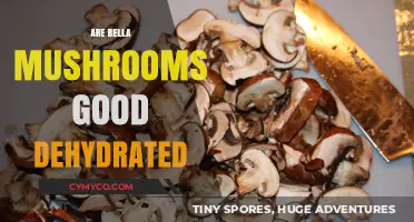 Exploring the Flavor and Nutrition of Dehydrated Bella Mushrooms