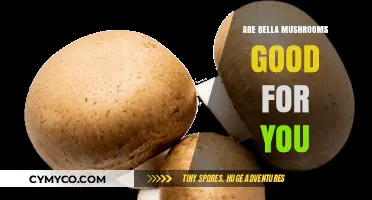 Exploring the Health Benefits of Bella Mushrooms: A Nutritional Guide