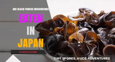 Exploring Edible Delights: Are Black Fungus Mushrooms a Part of Japanese Cuisine?