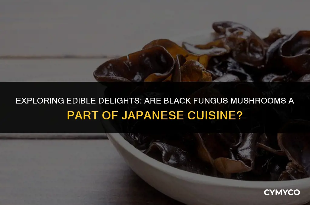 are black fungus mushrooms eaten in japan