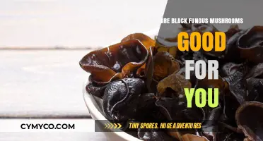 Exploring the Health Benefits of Black Fungus Mushrooms