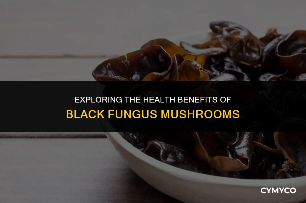 are black fungus mushrooms good for you