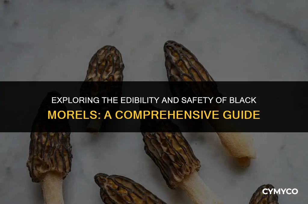 are black morels bad