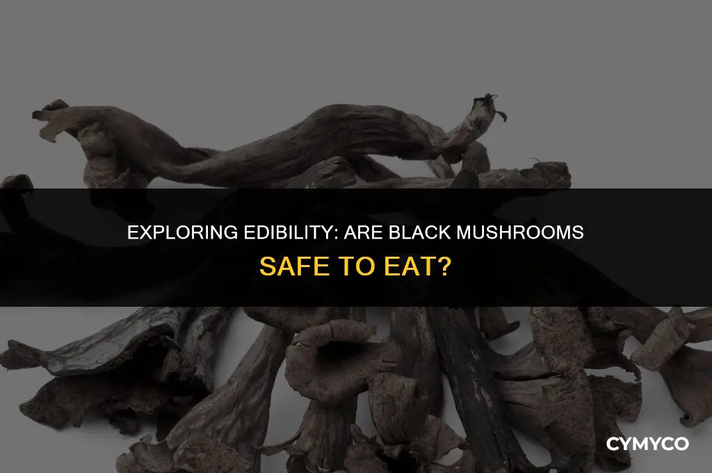 are black mushrooms safe to eat