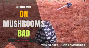 Are Black Spots on Mushrooms Harmful or Harmless?