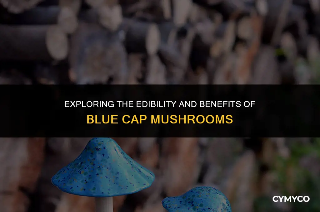 are blue cap mushrooms good