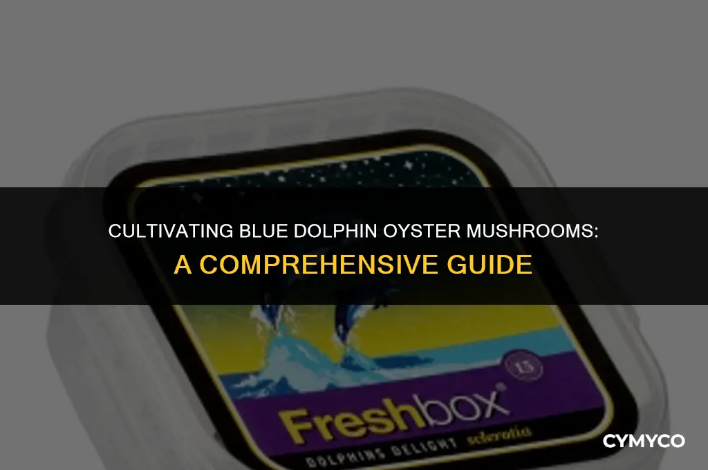 are blue dolphin oyster mushrooms difficult to grow