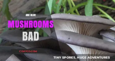 Are Blue Mushrooms Bad? Unveiling the Truth About Their Safety