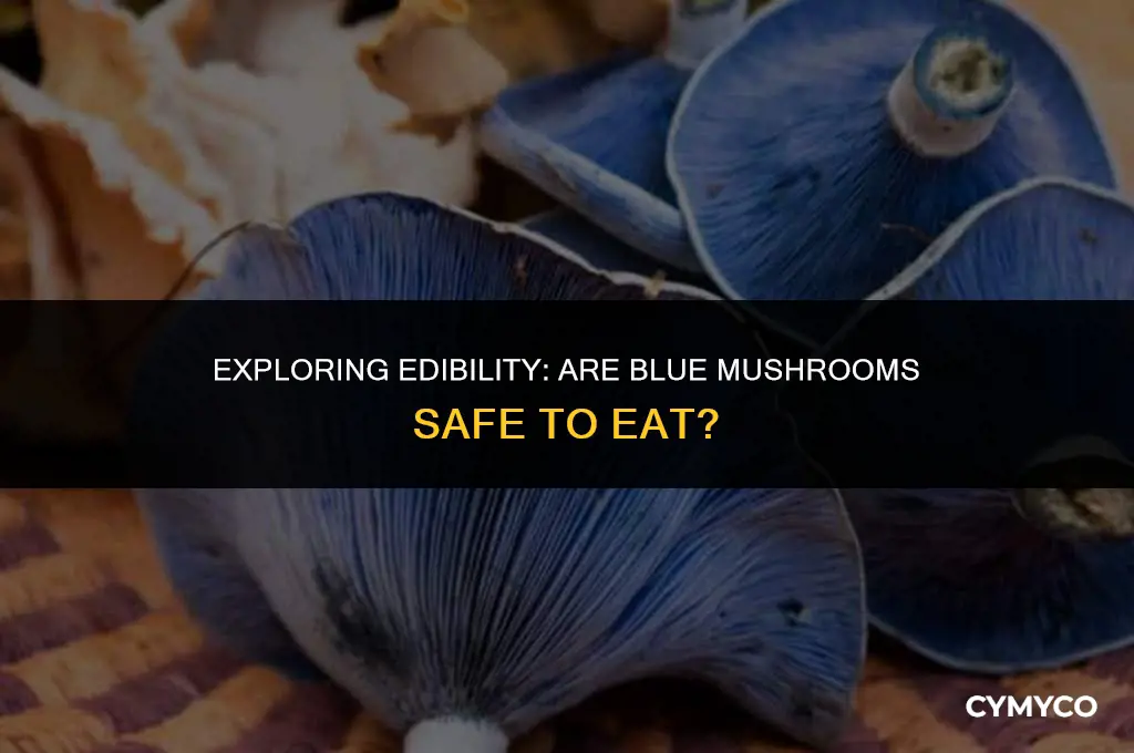 are blue mushrooms safe to eat