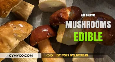 Exploring the Edibility of Boletus Mushrooms: A Comprehensive Guide