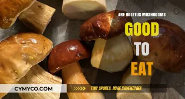 Exploring the Edibility and Delights of Boletus Mushrooms