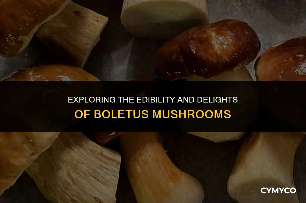 are boletus mushrooms good to eat