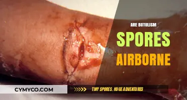 Unveiling the Truth: Can Botulism Spores Travel Through the Air?