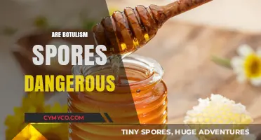 Unveiling the Truth: Are Botulism Spores a Hidden Danger?