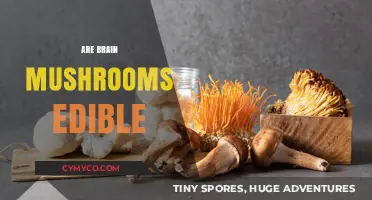 Exploring the Edibility of Brain Mushrooms: A Comprehensive Guide
