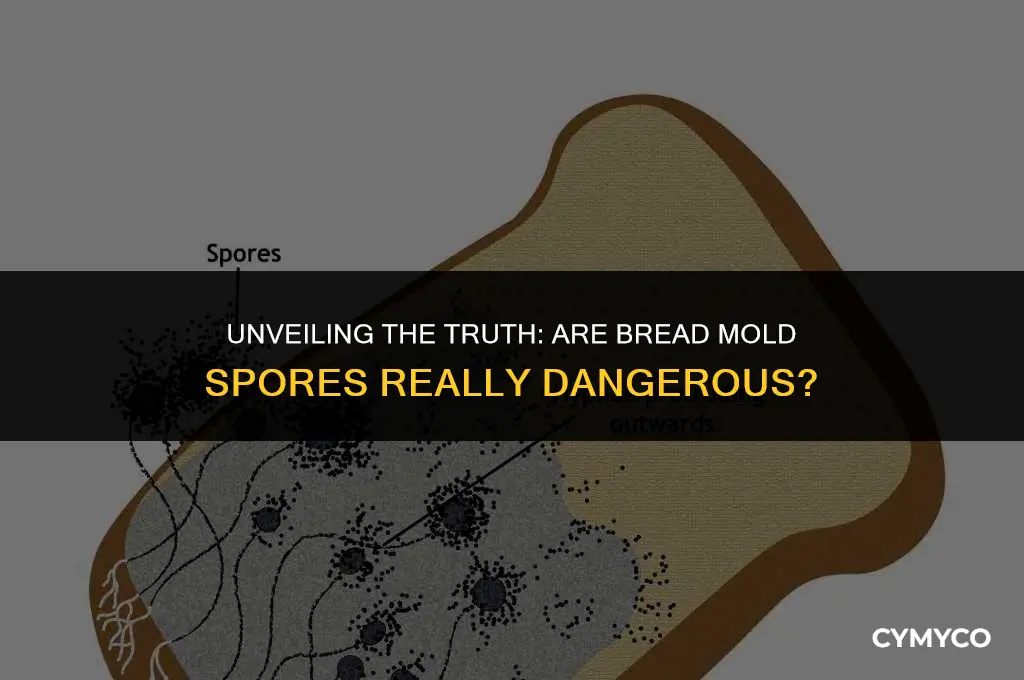 are bread mold spores dangerous