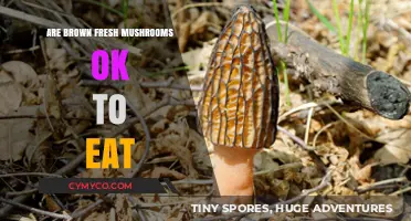 Exploring Edibility: Are Brown Fresh Mushrooms Safe to Eat?