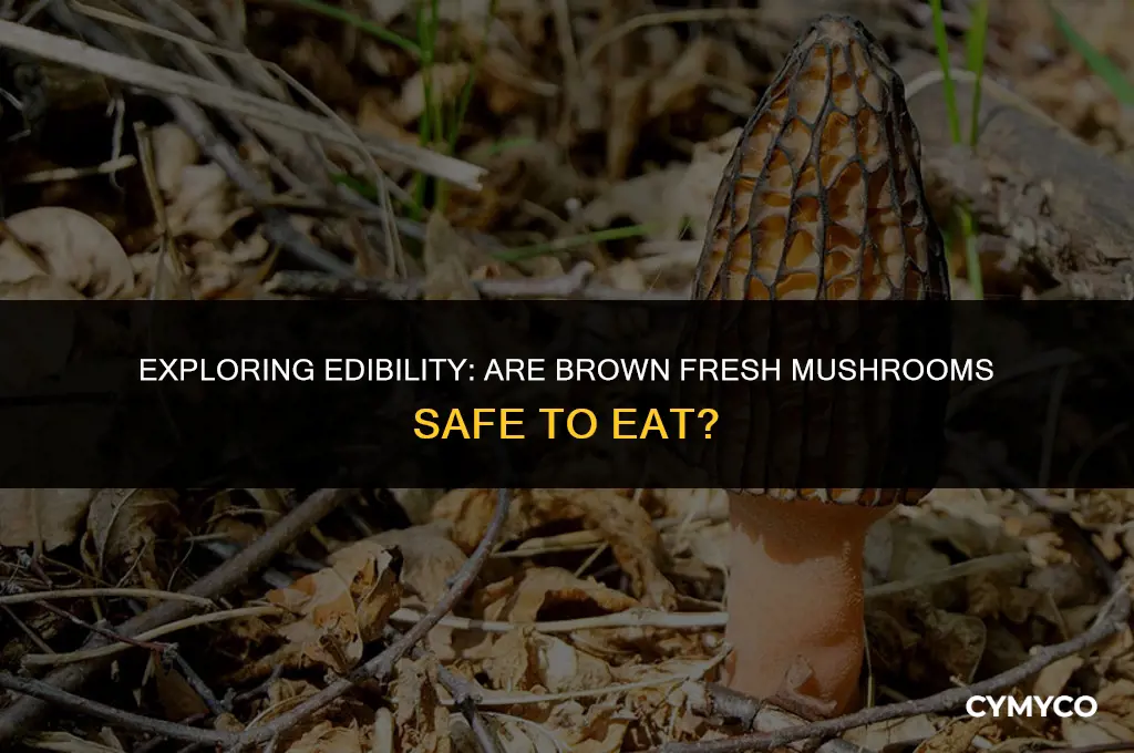 are brown fresh mushrooms ok to eat