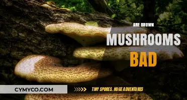 Are Brown Mushrooms Bad? Debunking Myths and Understanding Safety