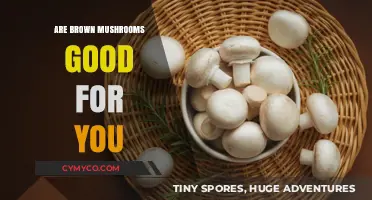 Exploring the Health Benefits of Brown Mushrooms: A Nutritional Guide