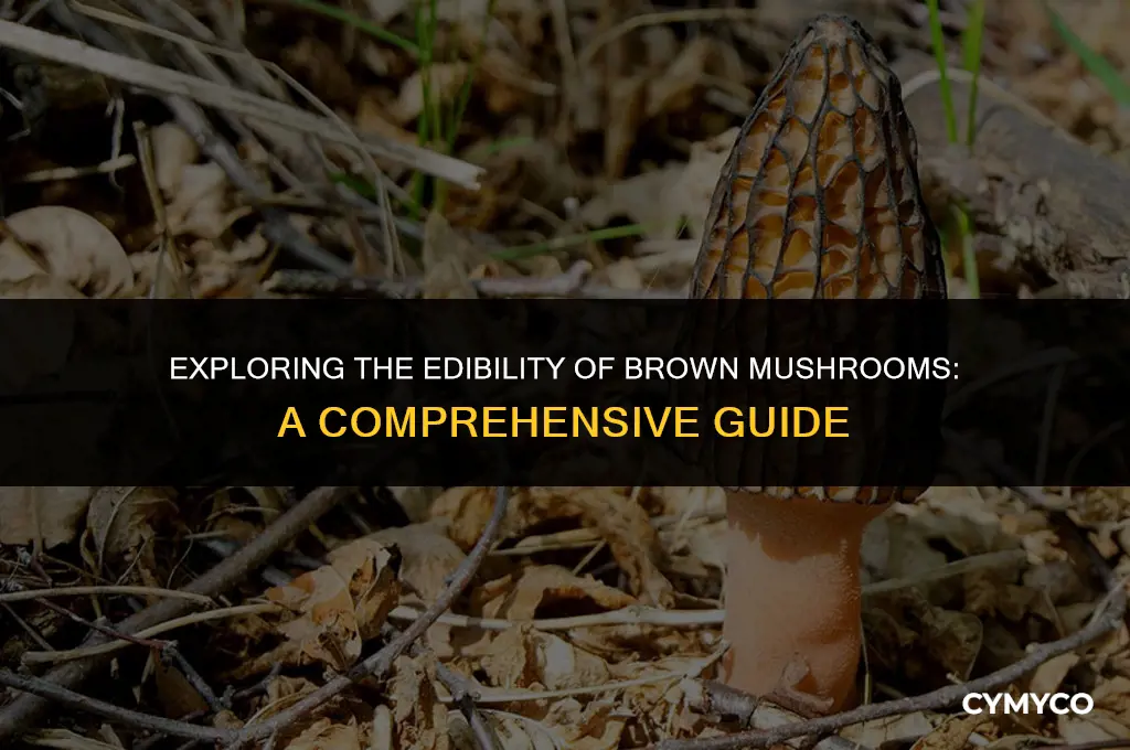 are brown mushrooms still good