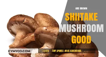 Exploring the Health Benefits of Brown Shiitake Mushrooms