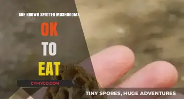 Identifying Edible Mushrooms: Are Brown Spotted Ones Safe?