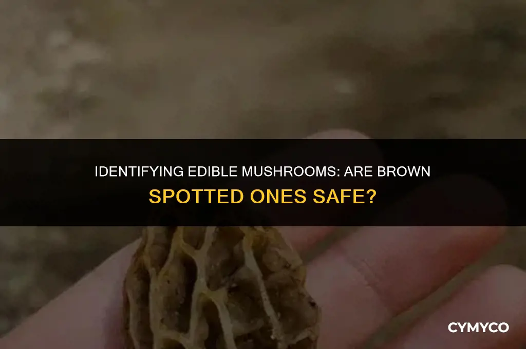 are brown spotted mushrooms ok to eat