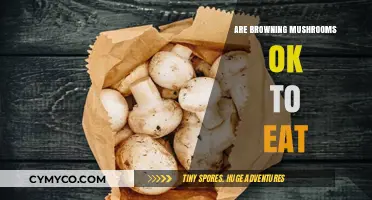 Are Browning Mushrooms Safe to Eat? A Guide to Mushroom Edibility