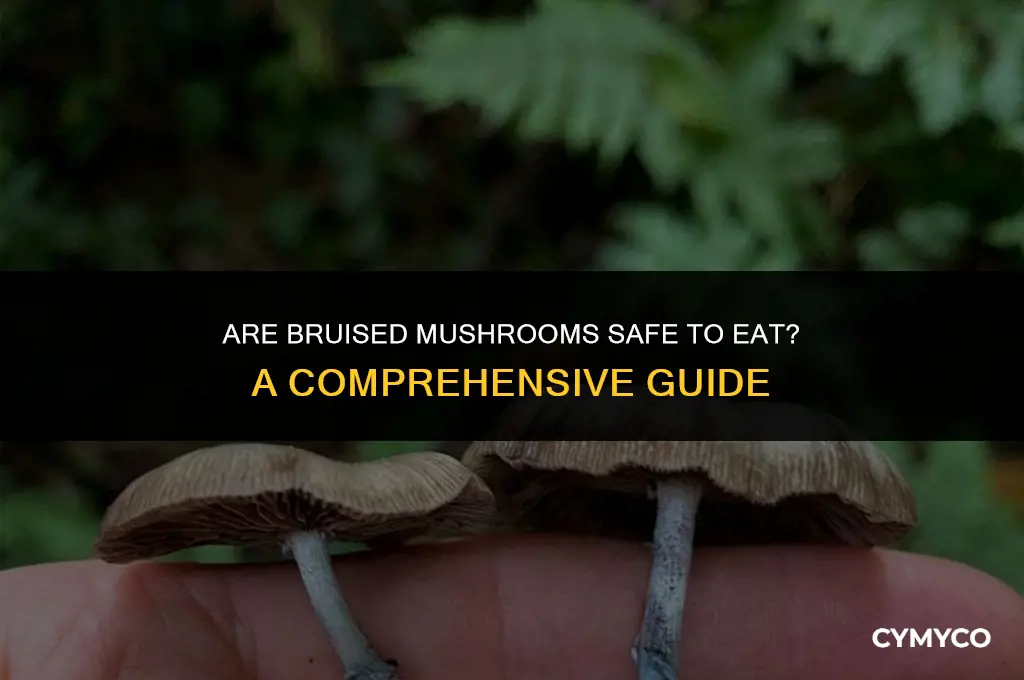 are bruised mushrooms ok to eat