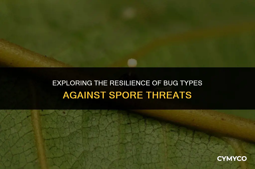 are bug types immune to spore