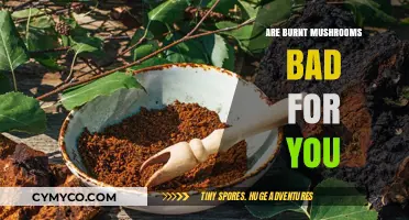 Burnt Mushrooms: Are They Safe to Eat or Harmful?