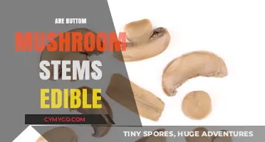 Exploring Edibility: The Truth About Button Mushroom Stems