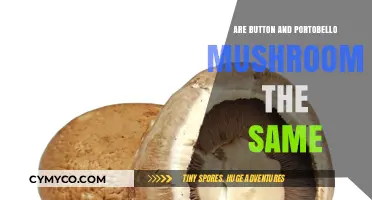 Exploring the Differences: Button vs. Portobello Mushrooms