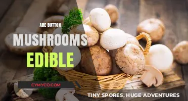 Exploring Edibility: Are Button Mushrooms Safe to Eat?