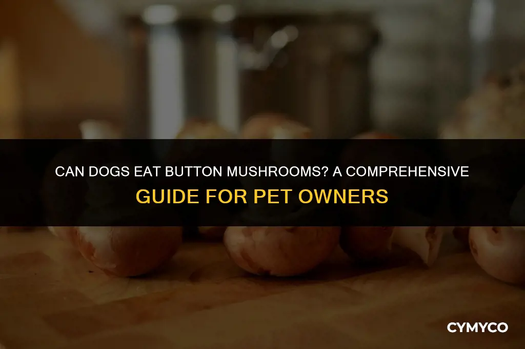 are button mushrooms good for dogs