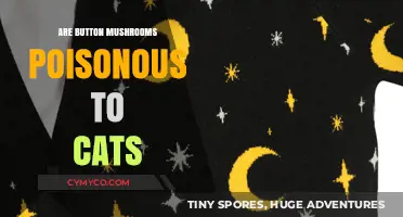 Are Button Mushrooms Safe for Cats? A Comprehensive Guide