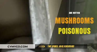 Exploring the Edibility: Are Button Mushrooms Poisonous?