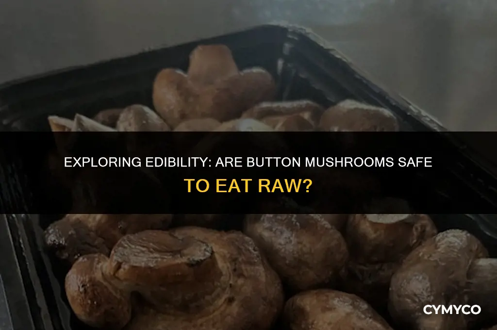 are button mushrooms safe to eat raw