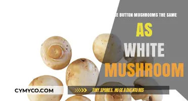Button vs. White Mushrooms: Unraveling the Culinary Confusion