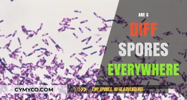 Ubiquitous C. Diff Spores: A Hidden Threat in Everyday Environments