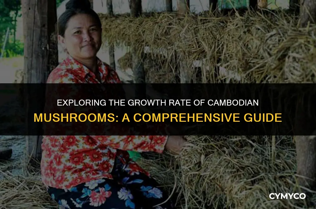 are cambodian mushrooms slow growing